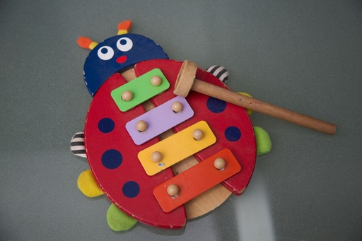 [EXC3521] Xylophone cocinelle 